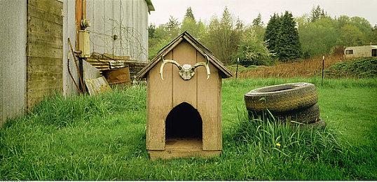 互动电影游戏《终结降临》现已登陆Xbox One